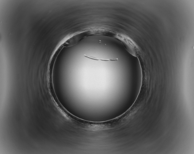 X0000085000894200703121458