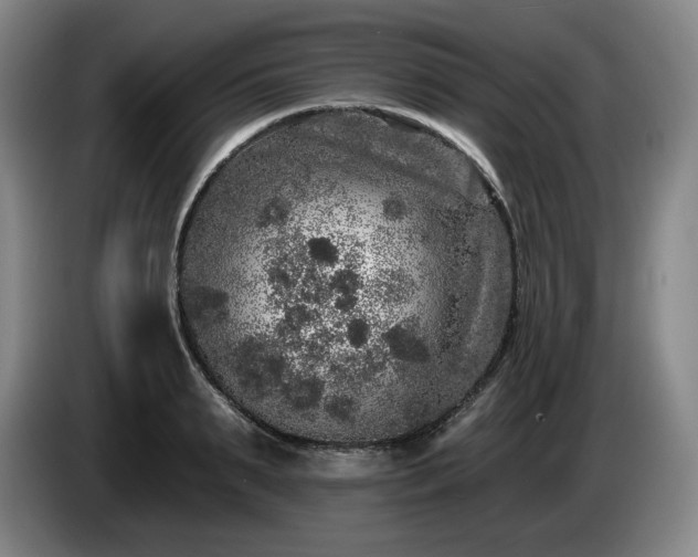 X0000085000895200703121458