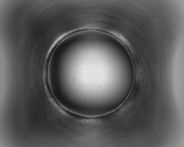 X0000085000896200703121458