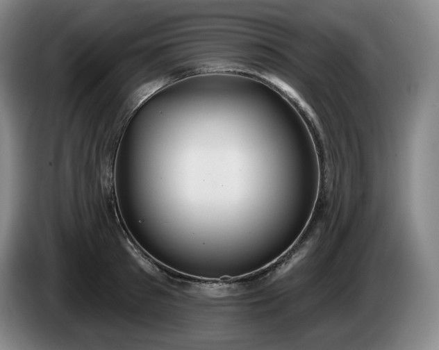 X0000085000897200703121458