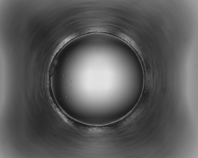 X0000085000898200703121458