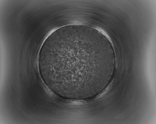 X0000085000899200703121458