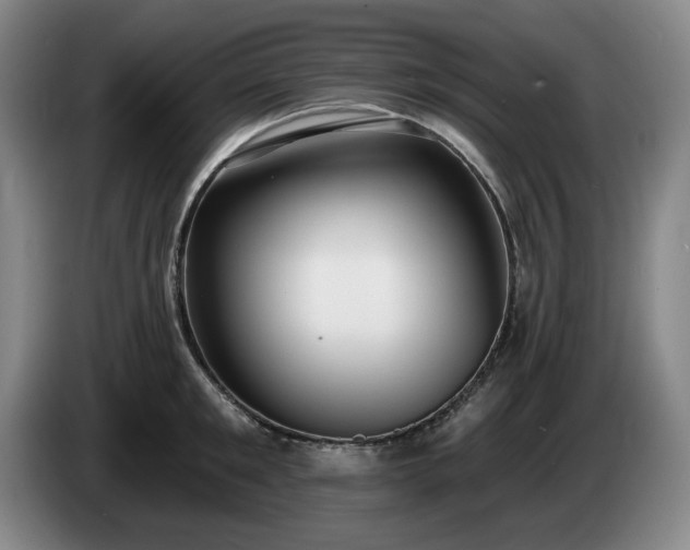 X0000085000901200703121458