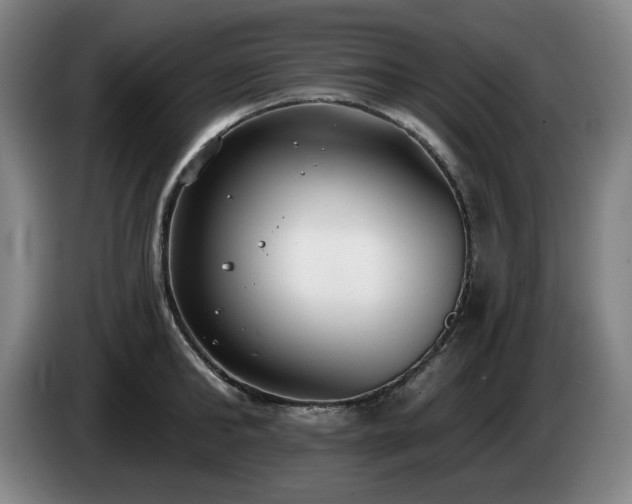 X0000085000902200703121458