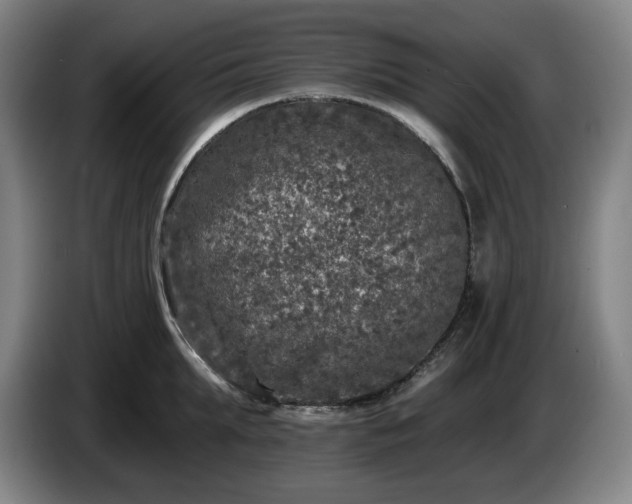 X0000085000903200703121458