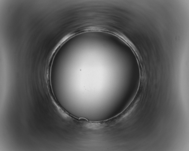 X0000085000909200703121458