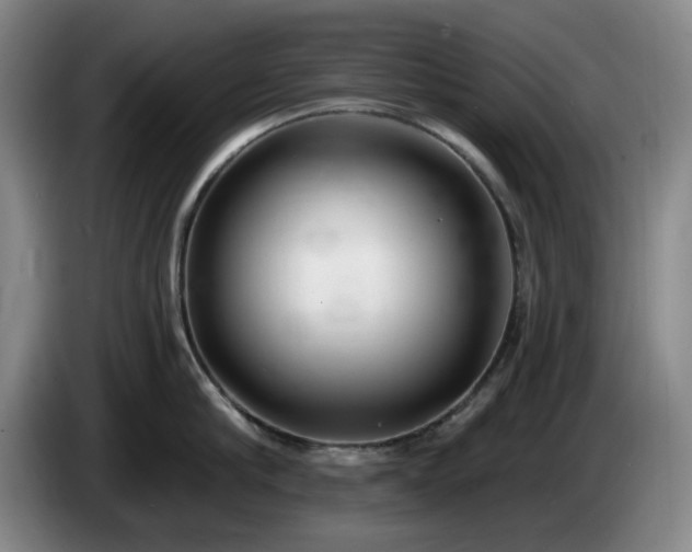 X0000085000910200703121458