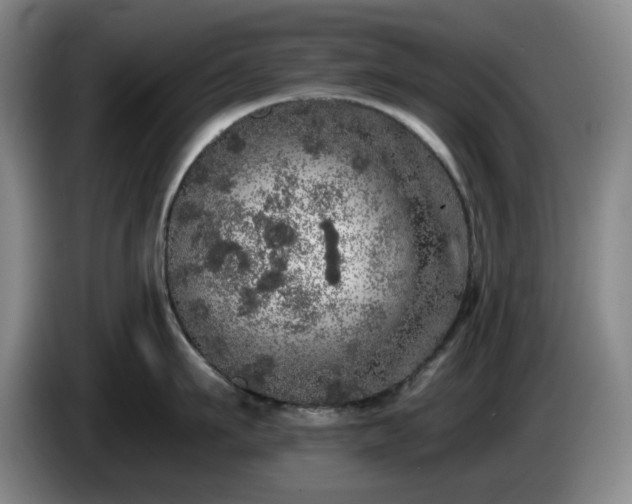 X0000085000911200703121458