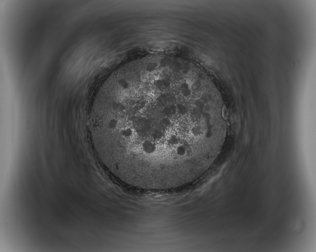 X0000085000913200703121457