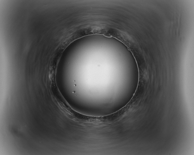 X0000085000914200703121457