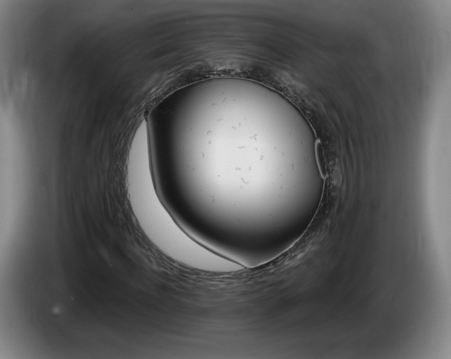 X0000085000916200703121457