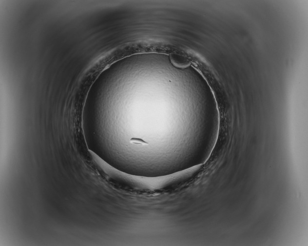 X0000085000919200703121457