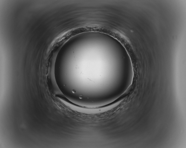 X0000085000920200703121457