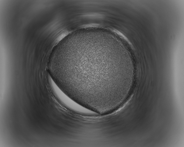 X0000085000921200703121457