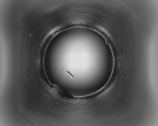 X0000085000922200703121457