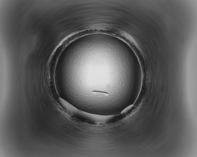 X0000085000923200703121457