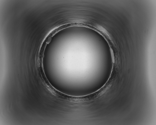 X0000085000924200703121457