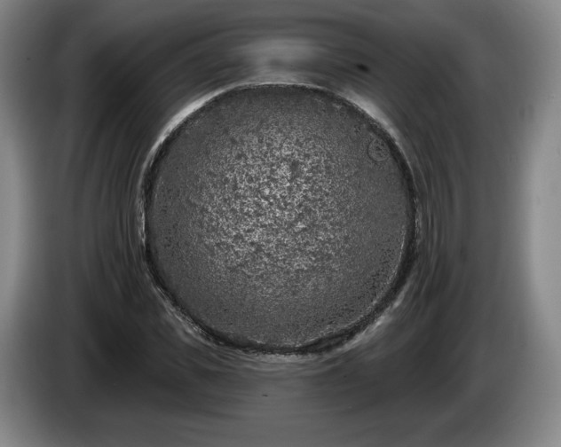 X0000085000925200703121457