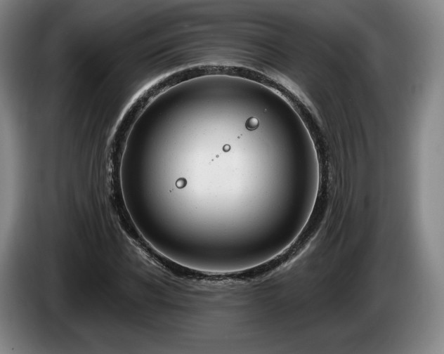 X0000085000926200703121457