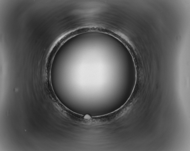 X0000085000927200703121457