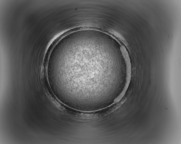 X0000085000928200703121457