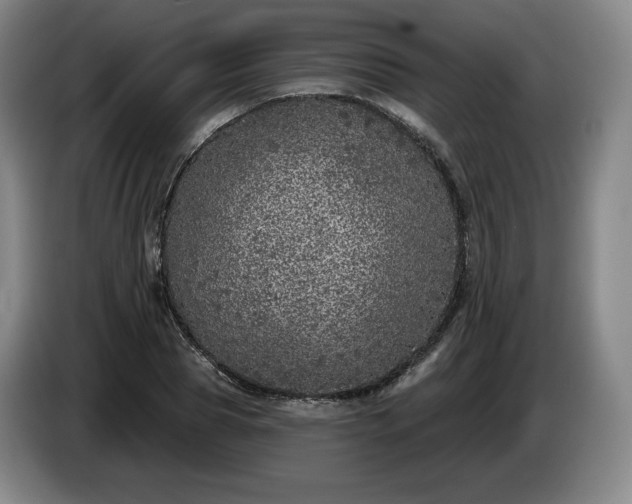 X0000085000929200703121457