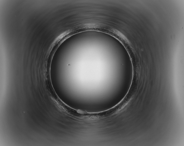 X0000085000930200703121457