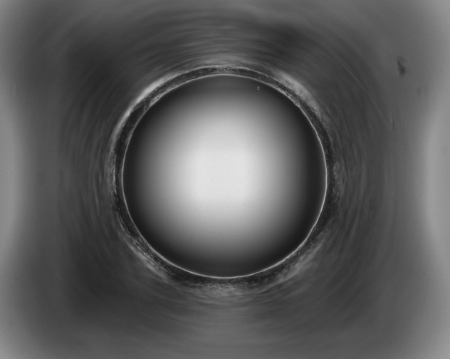 X0000085000931200703121457