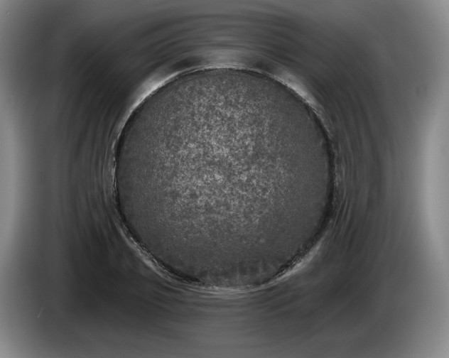 X0000085000933200703121457