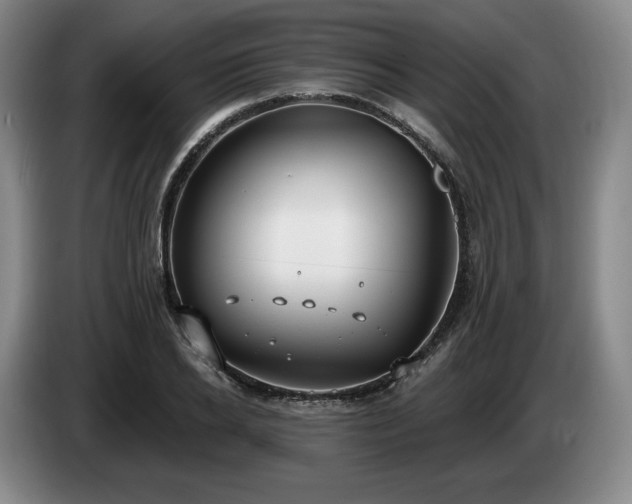 X0000085000934200703121457