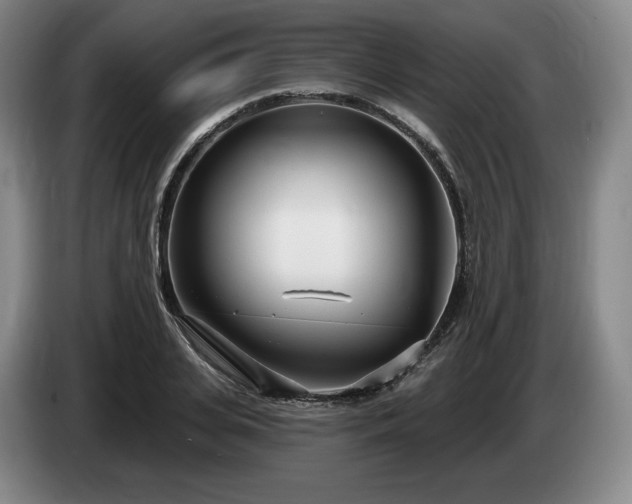 X0000085000935200703121457