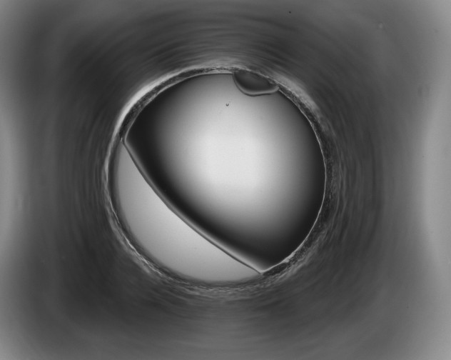 X0000085000936200703121457