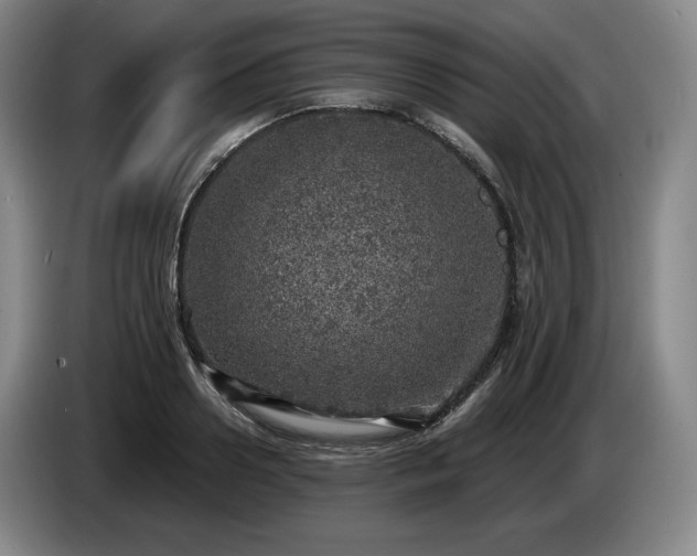 X0000085000938200703121457