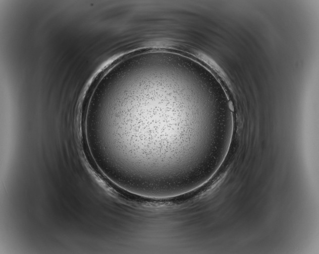 X0000085000939200703121457