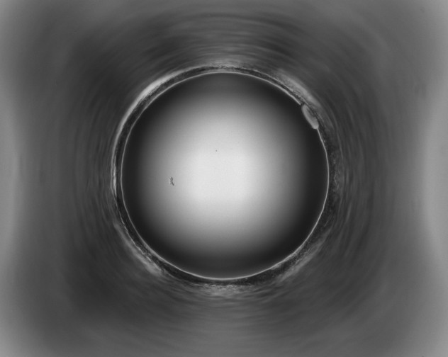 X0000085000940200703121457