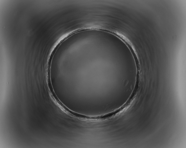 X0000085000941200703121457