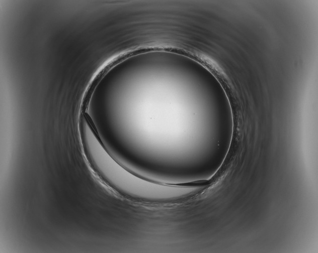 X0000085000942200703121457