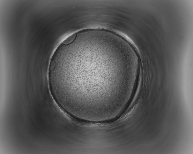 X0000085000943200703121457