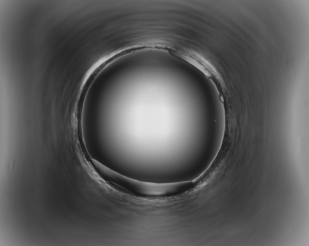 X0000085000944200703121457