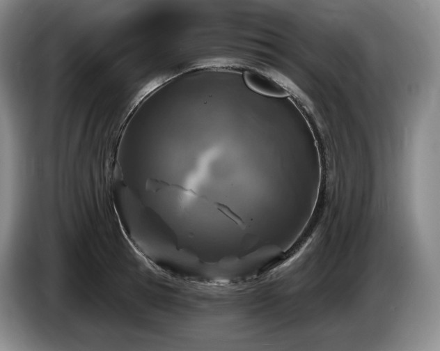 X0000085000945200703121457