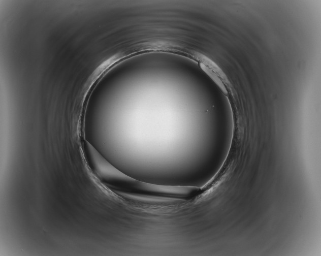 X0000085000946200703121457