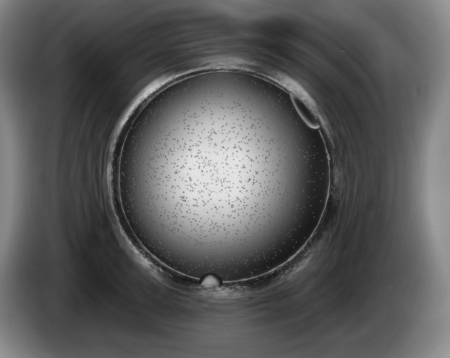 X0000085000947200703121457