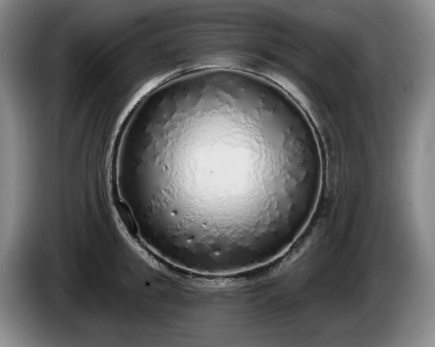 X0000085000949200703121457