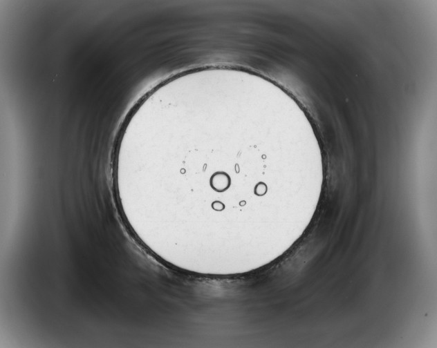 X0000085000950200703121457