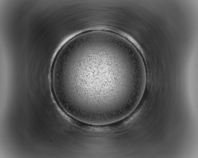 X0000085000951200703121457