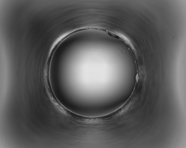 X0000085000952200703121457