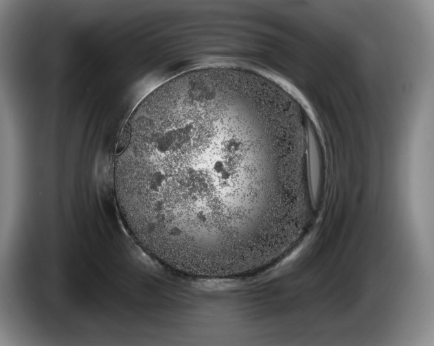 X0000085000953200703121457