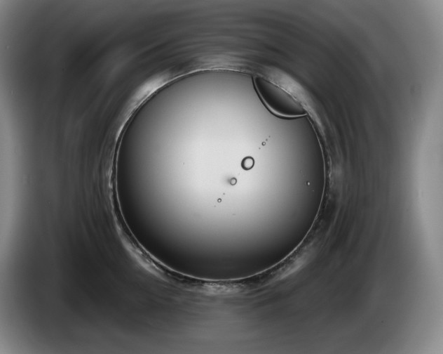 X0000085000954200703121457