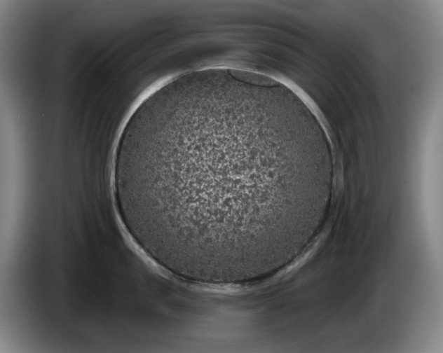 X0000085000957200703121458