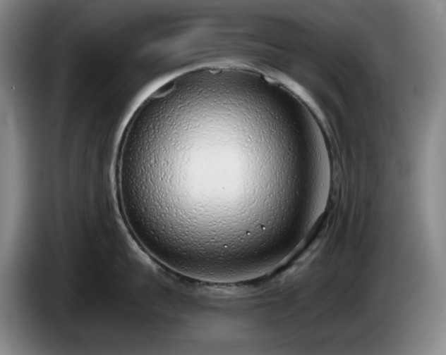 X0000085000959200703121458